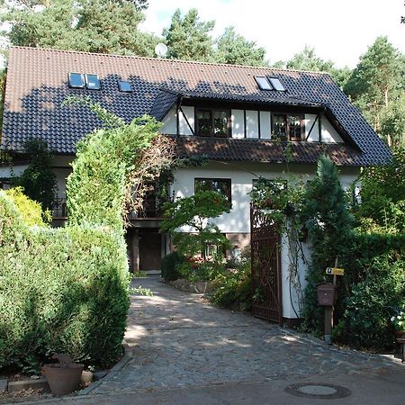 Pension Tannenspitze Wittenberg Екстер'єр фото