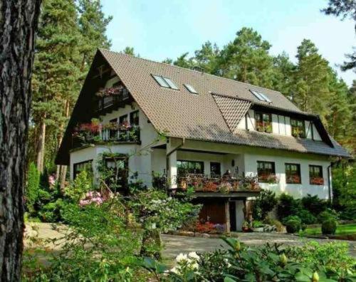 Pension Tannenspitze Wittenberg Екстер'єр фото