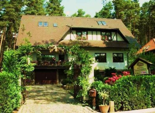 Pension Tannenspitze Wittenberg Екстер'єр фото
