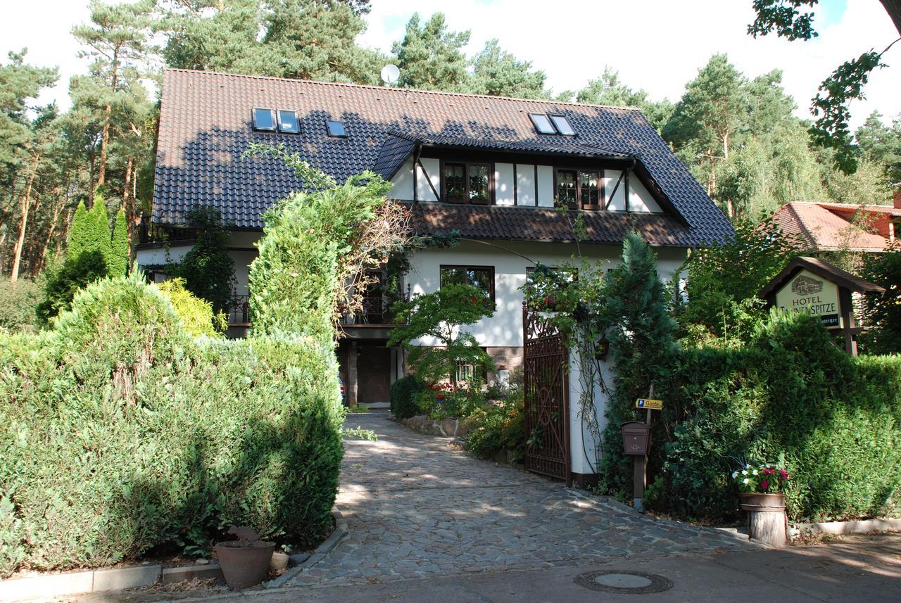 Pension Tannenspitze Wittenberg Екстер'єр фото