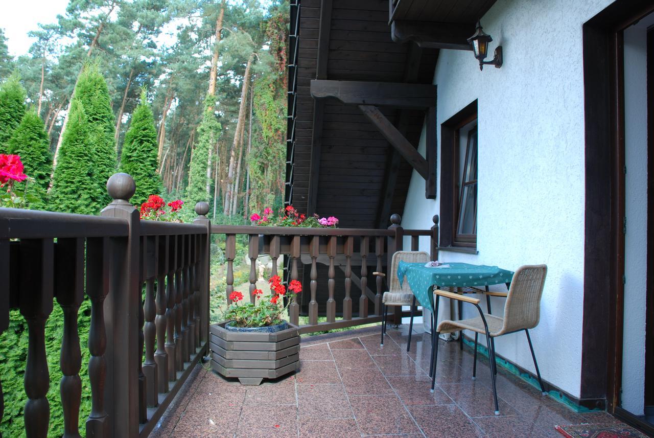 Pension Tannenspitze Wittenberg Екстер'єр фото